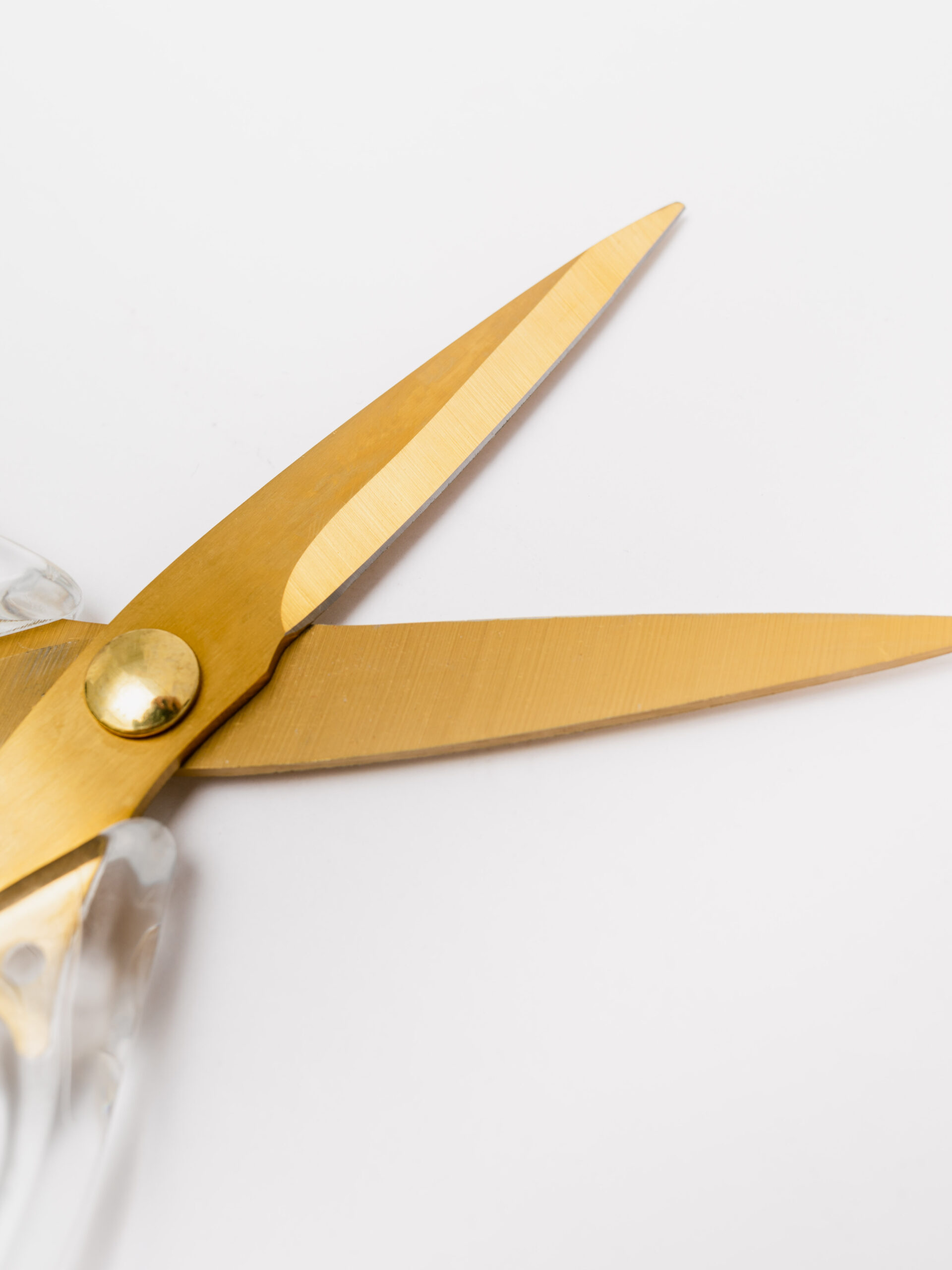 Фотопроект студии 31 День