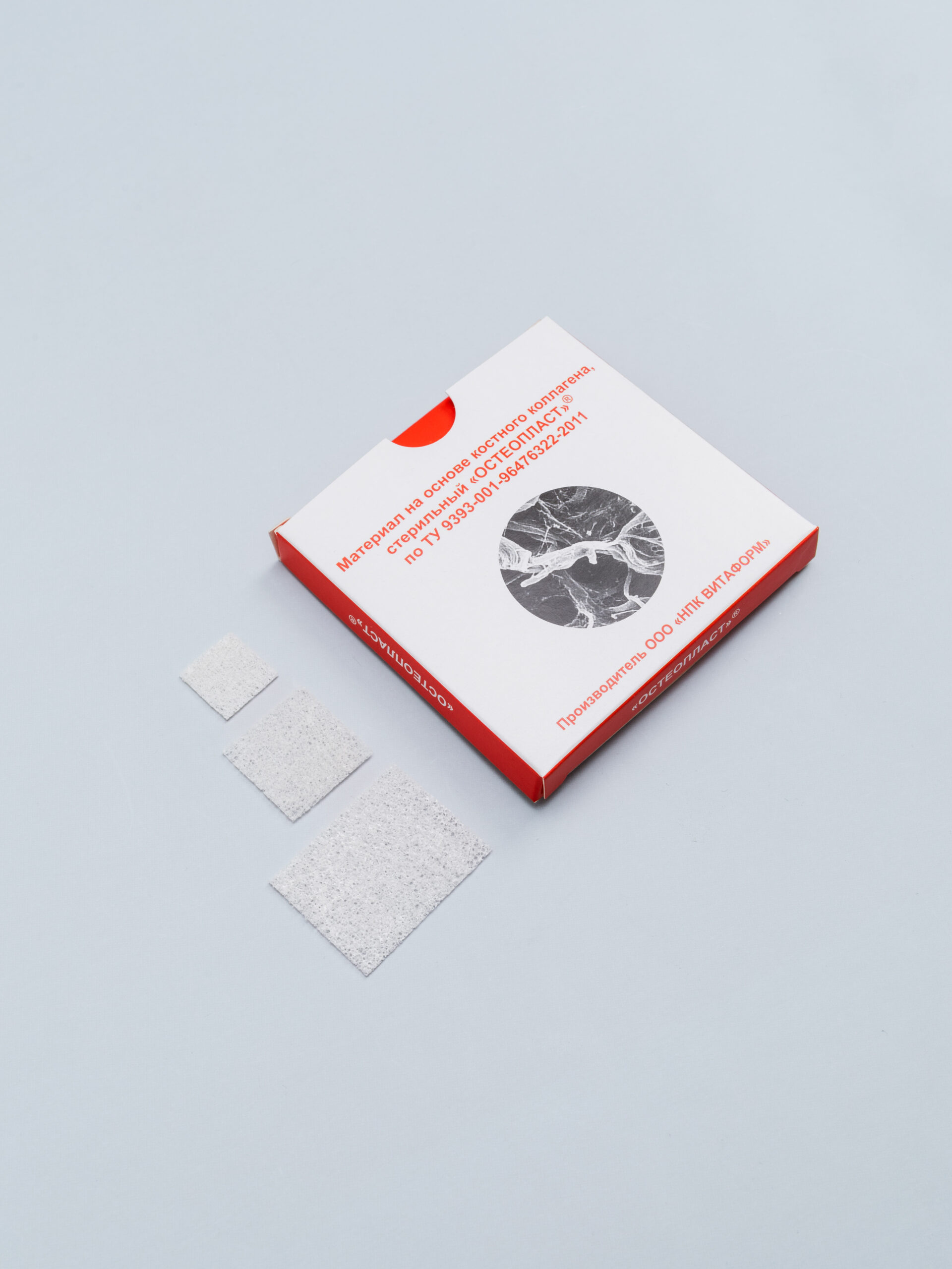 Фотопроект студии 31 День