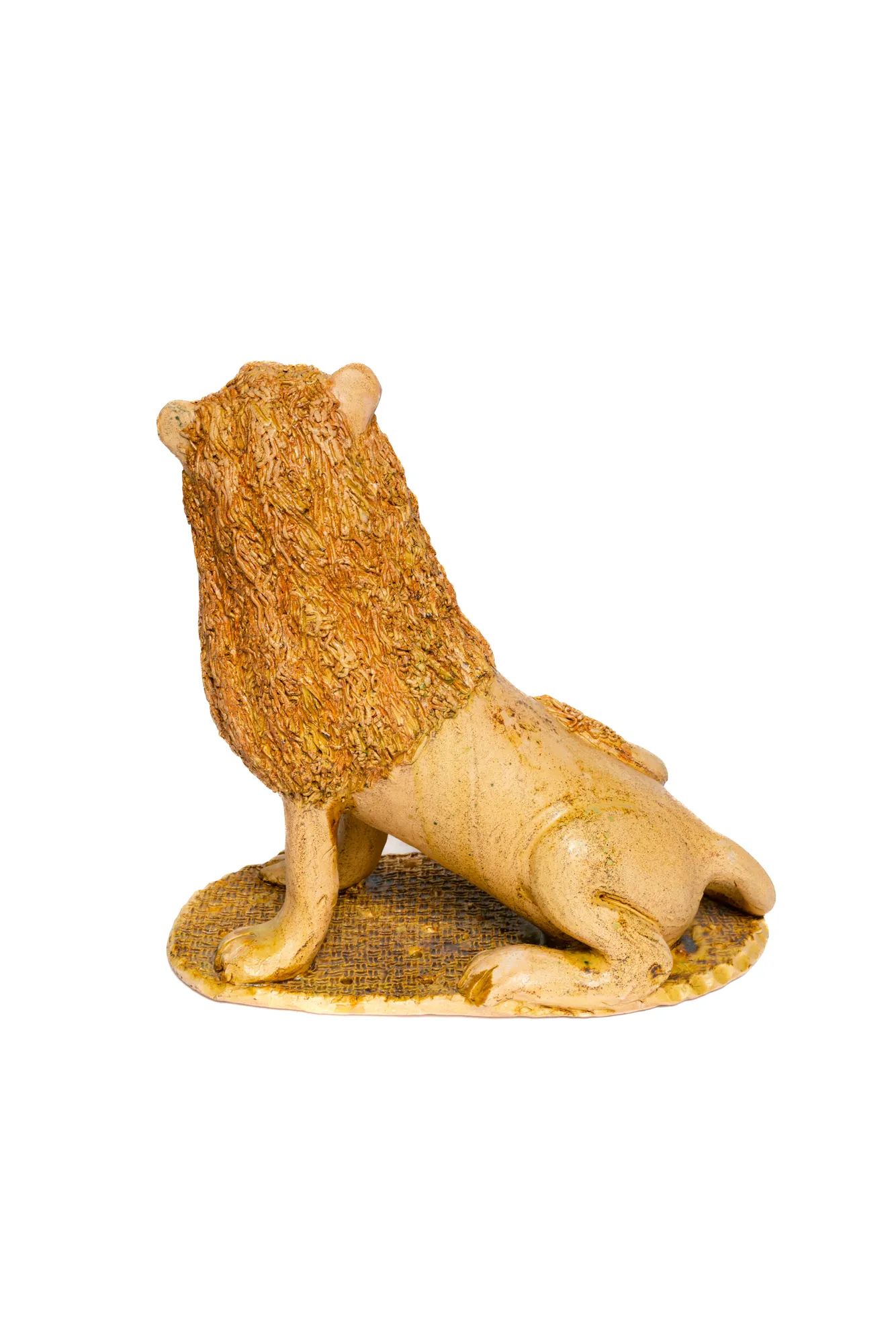 Фотопроект студии 31 День